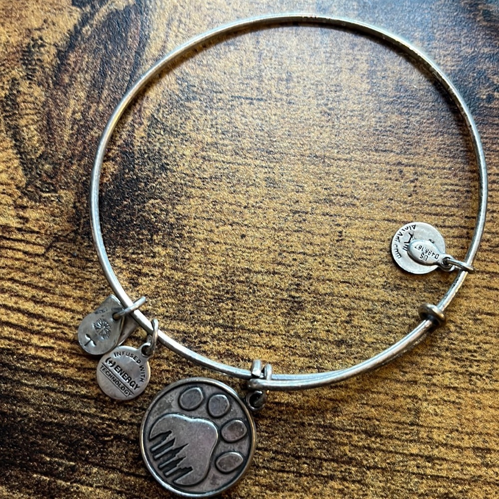 Lot of Alex and Ani Bracelets